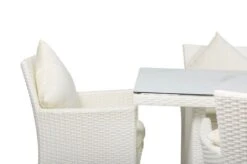 OUTFLEXX Dining Set, Weiß, Polyrattan, Tisch 200x95cm, Spraystone, 6mm, 6 Sessel -Gartenmoebel Verkaufs-Shop 17 20670.jpg